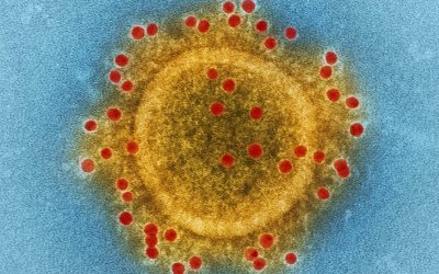 A Look at the Trump Administration’s Response to the Coronavirus