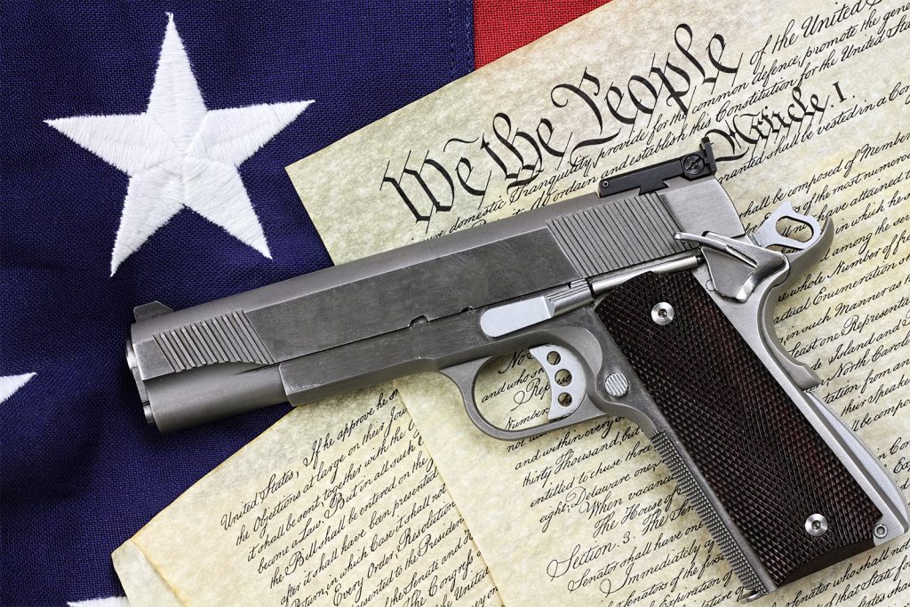 Gun Constitution