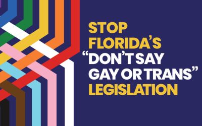 Florida’s controversial ‘Don’t Say Gay’ law explained
