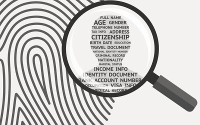 Safeguarding Personal Data: Navigating Technology and Our Human Rights to Privacy in the Age of Information
