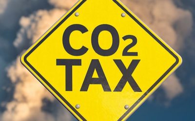 Carbon Taxes: Balancing Climate Change Mitigation with Sustainable Economic Growth