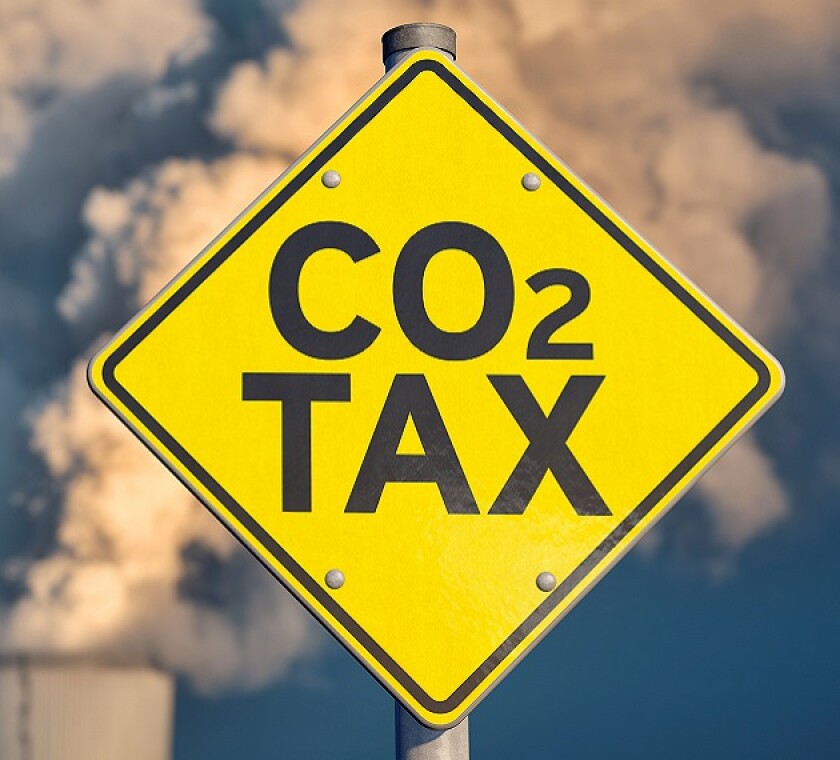 Carbon Taxes: Balancing Climate Change Mitigation with Sustainable Economic Growth