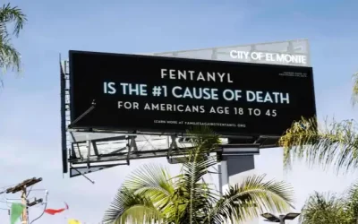 Congressional Support Lapses in the Fight Against Fentanyl