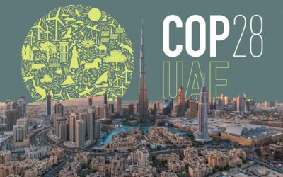 Sweating on the Treadmill of COP28: Will COP29 Deliver on Crucial Emissions Cuts?
