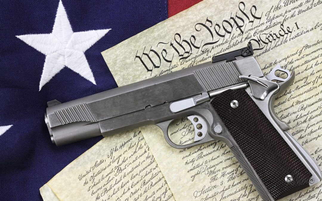 Darmstadter-gun-control-constitutionality